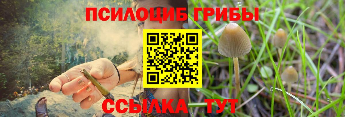 Галлюциногенные грибы мицелий Новотроицк